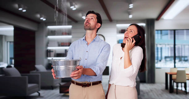 Best Water damage restoration near me  in Inkster, MI