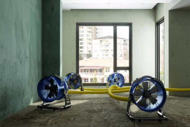 Best Carpet water damage restoration  in Inkster, MI