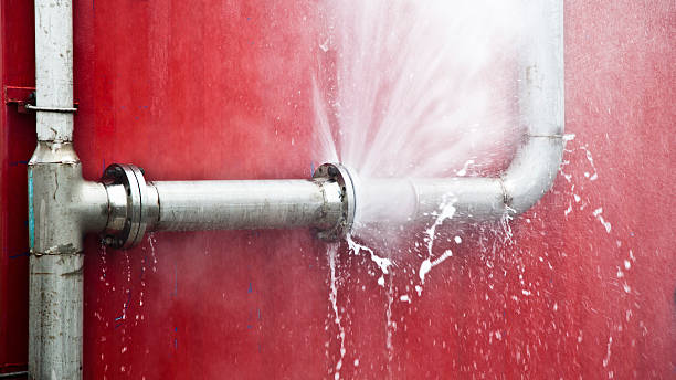 Best Flood restoration services  in Inkster, MI